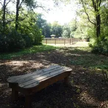 Bench at Nutro Dog Park