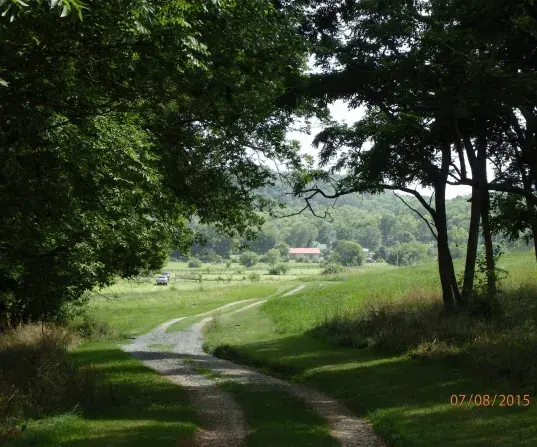 Preservation Park