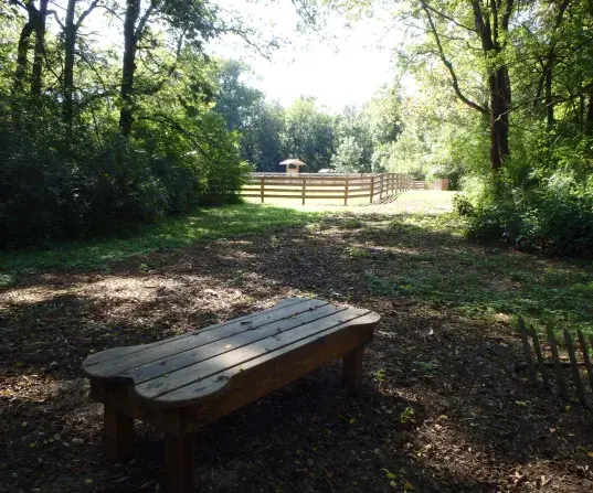 Bench at Nutro Dog Park